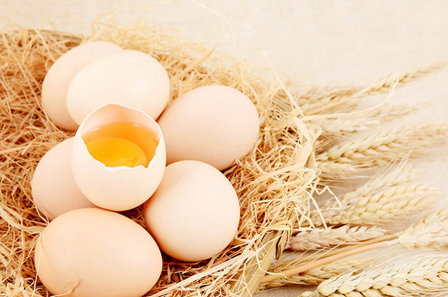 雞蛋檢測:氟苯尼考、恩諾沙星等獸藥殘留的解讀_廣電計量