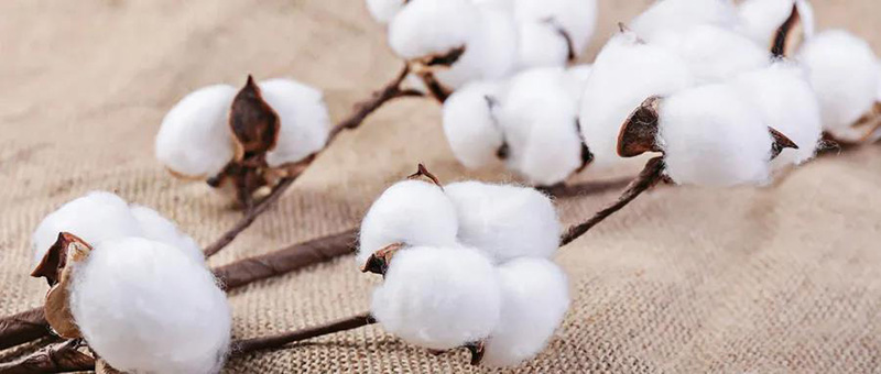 廣電計量紡織品檢測服務，與您共同致力國貨質(zhì)量提升。